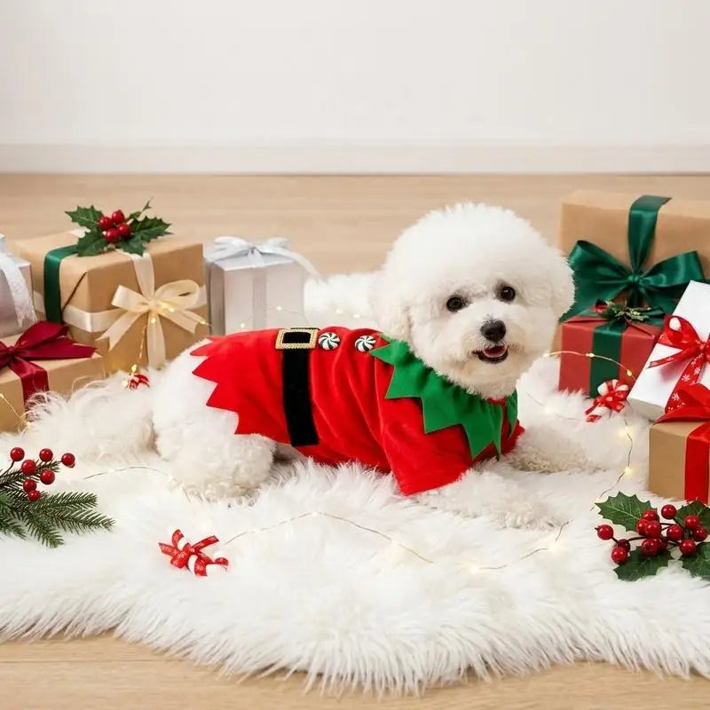 A pet dog T-shirt, Christmas-themed button-up elf T-shirt, Christmas pet costume clothing