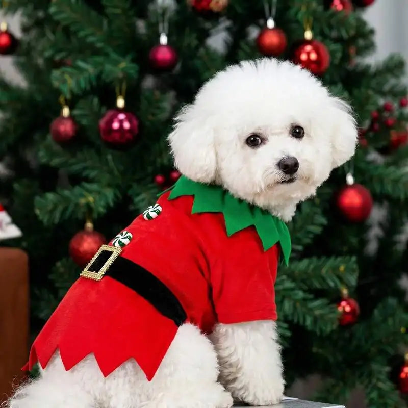 A pet dog T-shirt, Christmas-themed button-up elf T-shirt, Christmas pet costume clothing