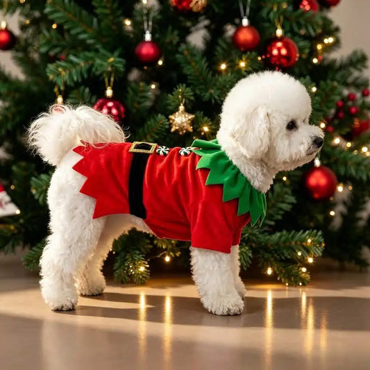 A pet dog T-shirt, Christmas-themed button-up elf T-shirt, Christmas pet costume clothing